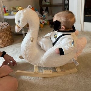 Ride On Swan